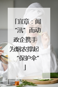 宜章：闻“汛”而动 政企携手为烟农撑起“保护伞”