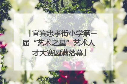 宜宾忠孝街小学第三届“艺术之星”艺术人才大赛圆满落幕