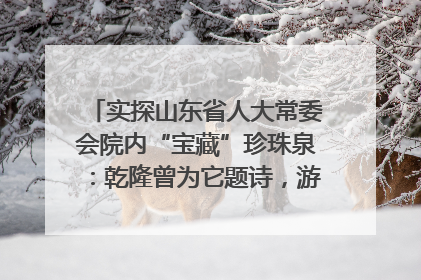实探山东省人大常委会院内“宝藏”珍珠泉：乾隆曾为它题诗，游客无需预约免费游览