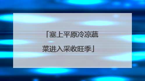 塞上平原冷凉蔬菜进入采收旺季