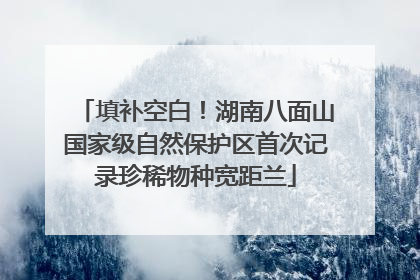 填补空白！湖南八面山国家级自然保护区首次记录珍稀物种宽距兰