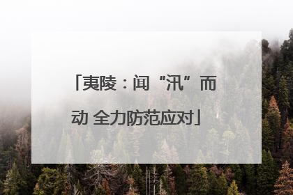 夷陵：闻“汛”而动 全力防范应对