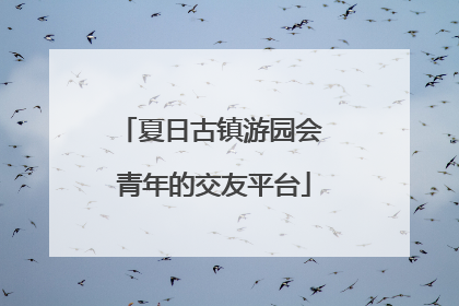 夏日古镇游园会 青年的交友平台