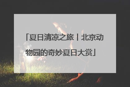 夏日清凉之旅丨北京动物园的奇妙夏日大赏