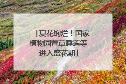 夏花绚烂！国家植物园萱草睡莲等进入盛花期