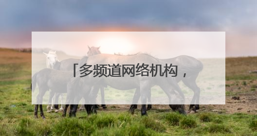 多频道网络机构，自律他律都得有