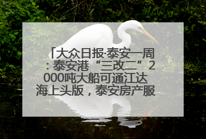 大众日报·泰安一周：泰安港“三改二”2000吨大船可通江达海上头版，泰安房产服务改革经验全省推广