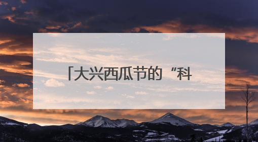 大兴西瓜节的“科技烟火气”：机器狗搬瓜、AI摊煎饼