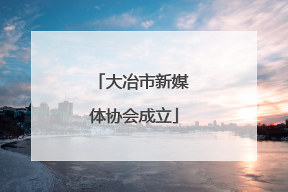 大冶市新媒体协会成立