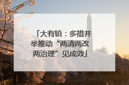 大有镇：多措并举推动“两清两改两治理”见成效