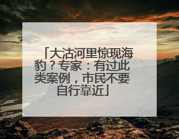 大沽河里惊现海豹？专家：有过此类案例，市民不要自行靠近