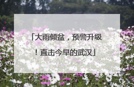 大雨倾盆，预警升级！直击今早的武汉