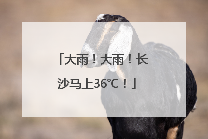 大雨！大雨！长沙马上36℃！