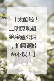 太酷啦！三明惊现超绝宝藏公园，拍照遛娃两不误！
