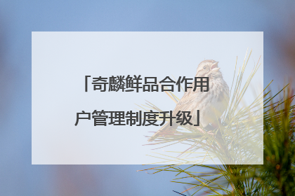奇麟鲜品合作用户管理制度升级