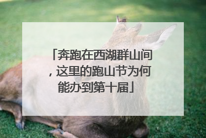 奔跑在西湖群山间，这里的跑山节为何能办到第十届