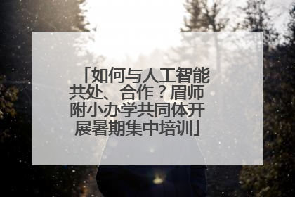如何与人工智能共处、合作？眉师附小办学共同体开展暑期集中培训