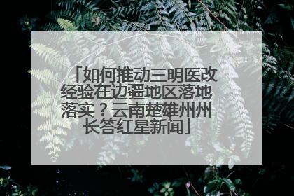 如何推动三明医改经验在边疆地区落地落实？云南楚雄州州长答红星新闻
