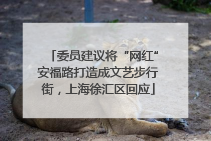 委员建议将“网红”安福路打造成文艺步行街，上海徐汇区回应