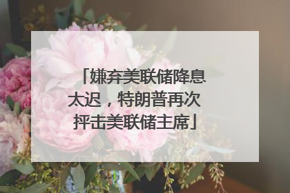 嫌弃美联储降息太迟，特朗普再次抨击美联储主席