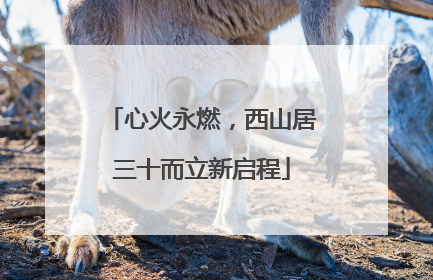 心火永燃，西山居三十而立新启程