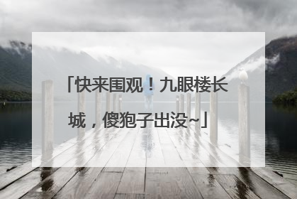 快来围观！九眼楼长城，傻狍子出没~