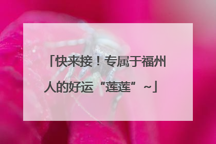 快来接！专属于福州人的好运“莲莲”~