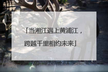 当湘江遇上黄浦江，跨越千里相约未来