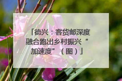 德兴：客货邮深度融合跑出乡村振兴“加速度”（图）