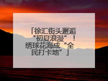 徐汇街头邂逅“初夏浪漫”！绣球花海成“全民打卡地”