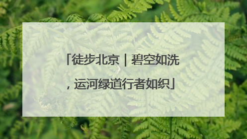 徒步北京｜碧空如洗，运河绿道行者如织