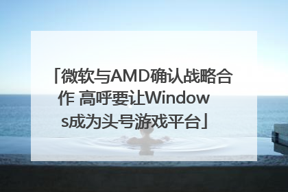 微软与AMD确认战略合作 高呼要让Windows成为头号游戏平台
