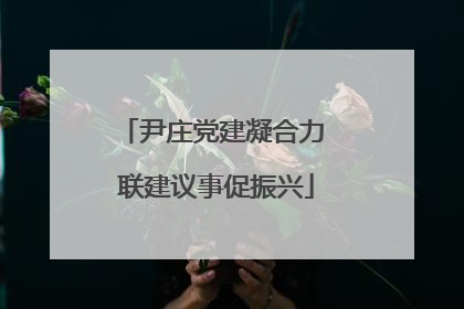 尹庄党建凝合力 联建议事促振兴