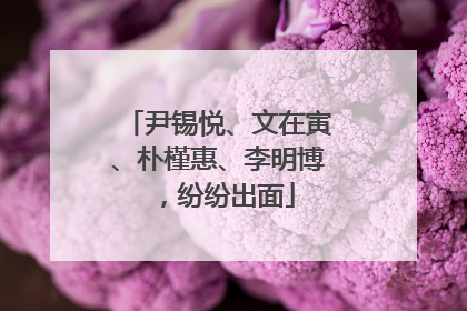 尹锡悦、文在寅、朴槿惠、李明博，纷纷出面