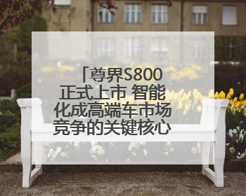 尊界S800正式上市 智能化成高端车市场竞争的关键核心丨新经济观察