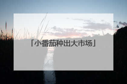 小番茄种出大市场