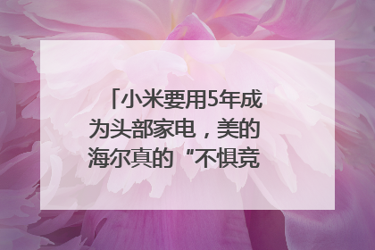 小米要用5年成为头部家电，美的海尔真的“不惧竞争”？｜热财经