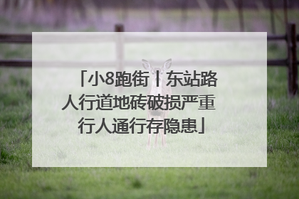 小8跑街丨东站路人行道地砖破损严重 行人通行存隐患