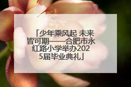 少年乘风起 未来皆可期——合肥市永红路小学举办2025届毕业典礼