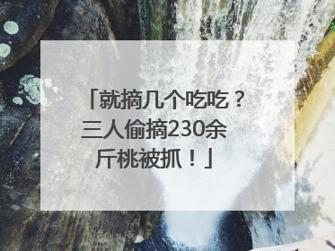 就摘几个吃吃？三人偷摘230余斤桃被抓！