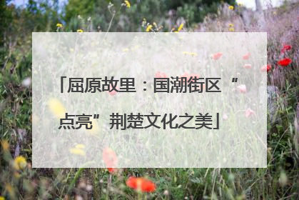 屈原故里：国潮街区“点亮”荆楚文化之美