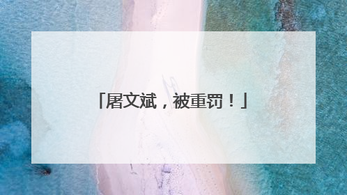 屠文斌，被重罚！