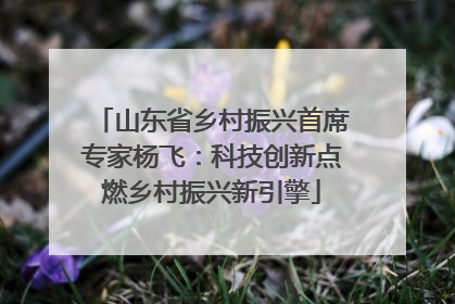 山东省乡村振兴首席专家杨飞：科技创新点燃乡村振兴新引擎