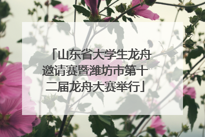 山东省大学生龙舟邀请赛暨潍坊市第十二届龙舟大赛举行