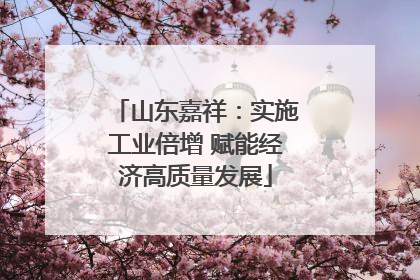 山东嘉祥：实施工业倍增 赋能经济高质量发展