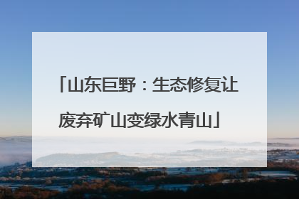 山东巨野：生态修复让废弃矿山变绿水青山
