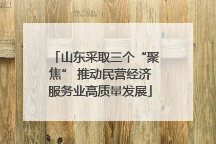 山东采取三个“聚焦” 推动民营经济服务业高质量发展