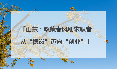 山东：政策春风助求职者 从“稳岗”迈向“创业”