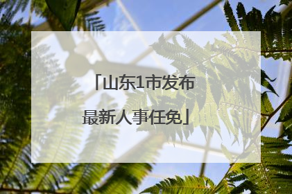 山东1市发布最新人事任免