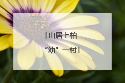 山居上柏 “幼”一村